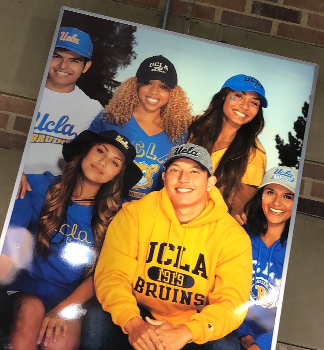 UCLA BearWear Print